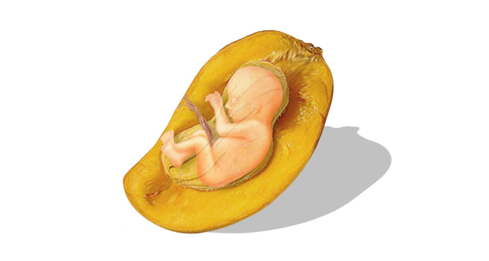 Mangoes prevent Miscarriage